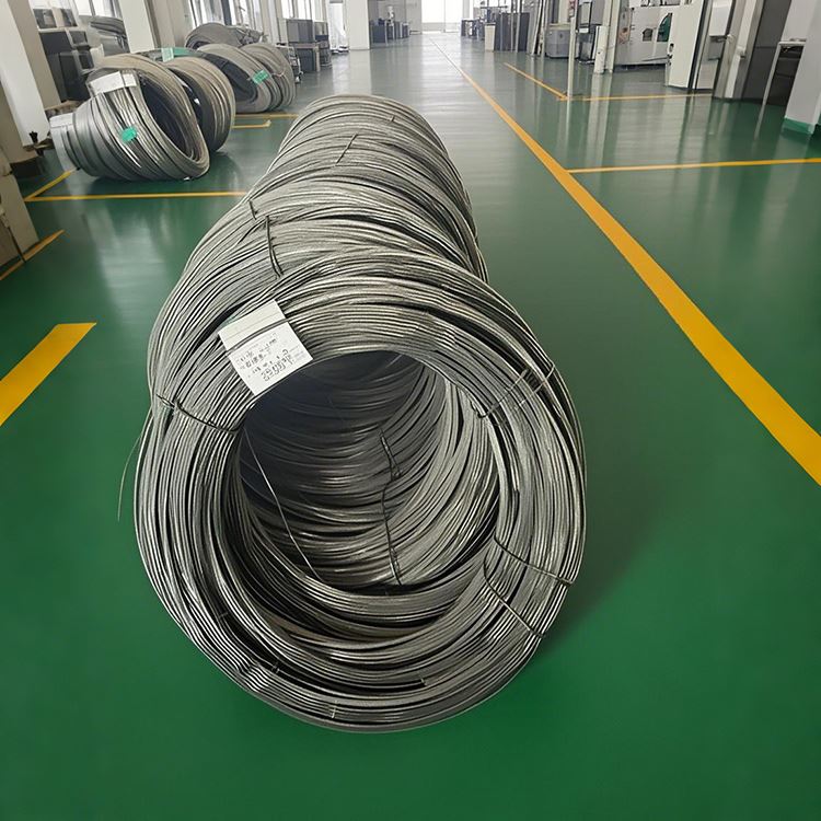 Fine Spring Steel Wire